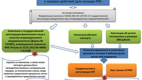 Что будет после открытия ИП в Бюстье