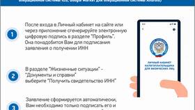 Что необходимо для получения ИНН в Бюстье