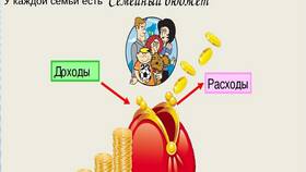 Что такое доходы и расходы семьи в Бюстье