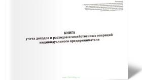 Что является доходом ИП на ОСНО в Бюстье