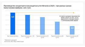Что ждет акции «Мечела»: прогнозы и перспективы в Бюстье