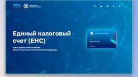 Что значит счет ФНС