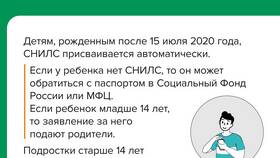 Для чего нужен СНИЛС взрослому в Бюстье