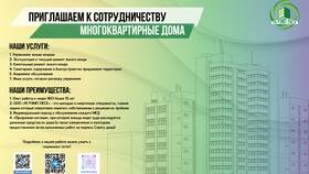 Иные услуги: что это в Бюстье