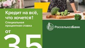 Из чего состоит кредитный портфель банка в Бюстье