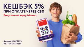 Как оплачивать покупки в Магните через СБП в Бюстье