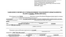 Как оплатить госпошлину по реквизитам в Бюстье