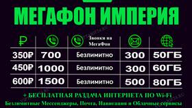 Как оплатить корпоративный номер МегаФон в Бюстье