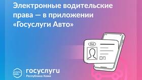 Как оплатить водительские права через Госуслуги в Бюстье