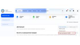 Как подать отменяющую декларацию 3-НДФЛ в Бюстье