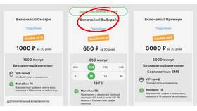 Как подключить безлимитный интернет от МегаФона в Бюстье