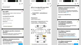 Как посмотреть автотеку на Авито в Бюстье