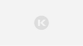 Как сдать налоговую декларацию ИП в Бюстье