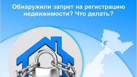 Как снять запрет Росреестра на регистрационные действия в Бюстье
