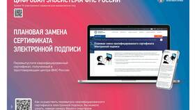 Как уменьшить пени по налогам для юридических лиц в Бюстье