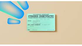 Как узнать ИНН по СНИЛС онлайн бесплатно в Бюстье