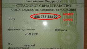 Как узнать номер своего пенсионного лицевого счета в Бюстье