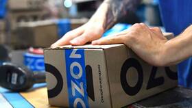 Как выйти со своим товаром на Ozon в Бюстье