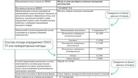 Паспорт как бизнес: законные возможности и риски в Бюстье