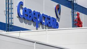 Почему акции Северстали в Бюстье
