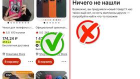 Почему не загружается AliExpress в Бюстье