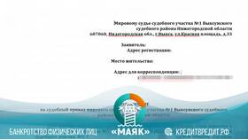 Почему судебный приказ не приходит на Госуслуги в Бюстье