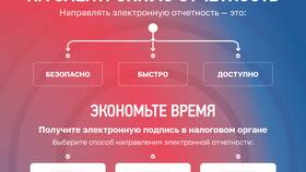Причины невозможности отправки налоговой декларации в Бюстье