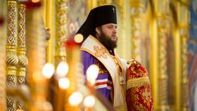 Владыка Фома (Демчук): почему отправили на покой